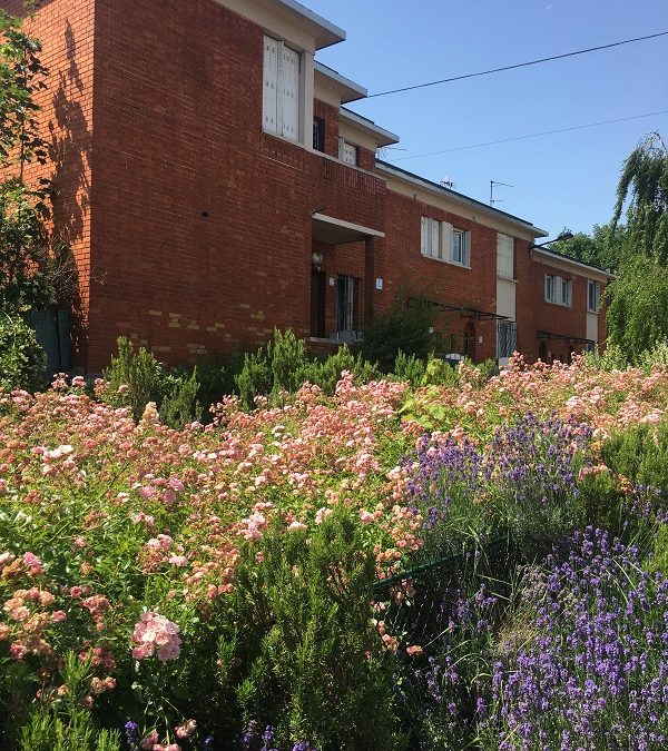 Cité-jardins de Champigny-sur-Marne